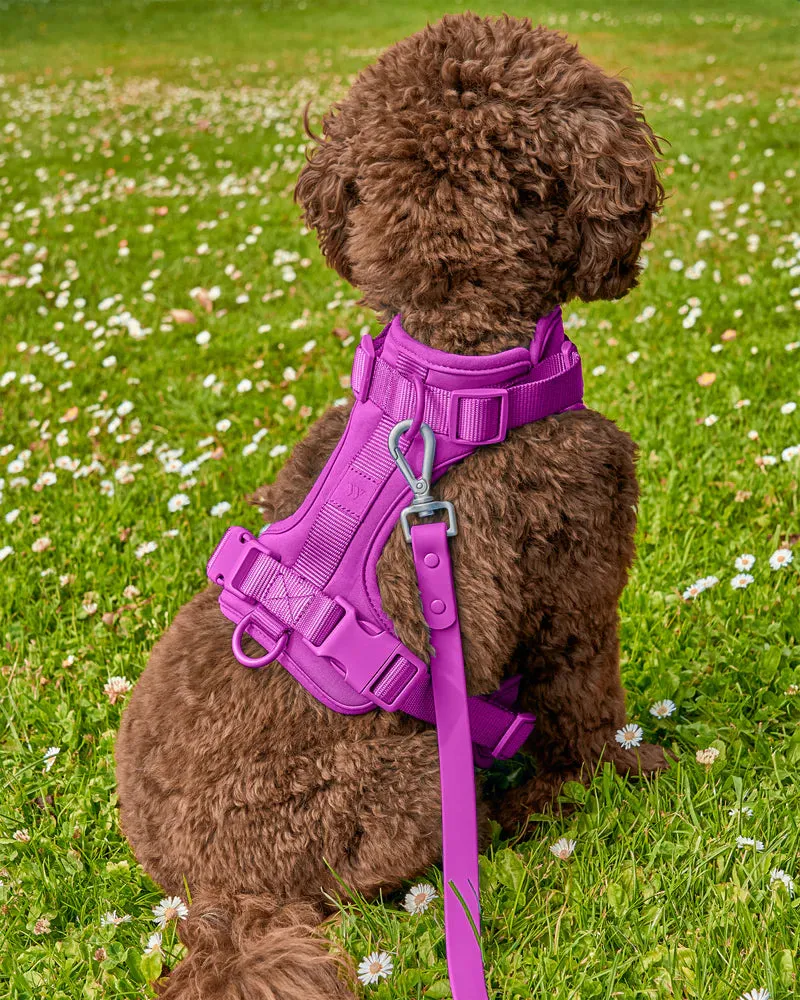 Comfort Pet Harness