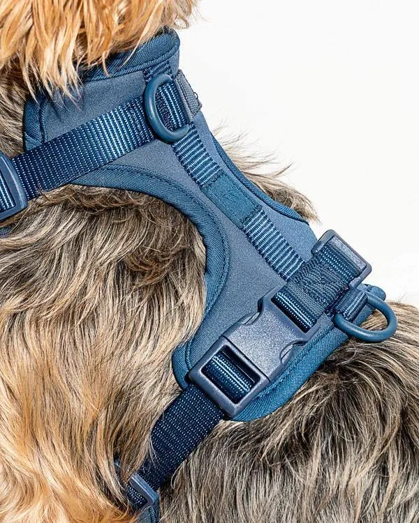 Comfort Pet Harness