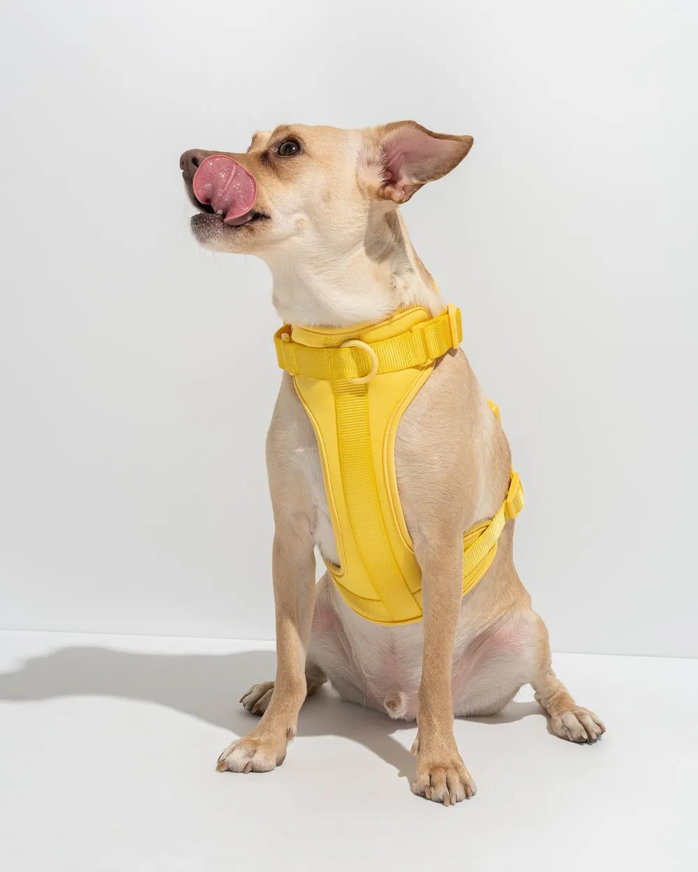 Comfort Pet Harness