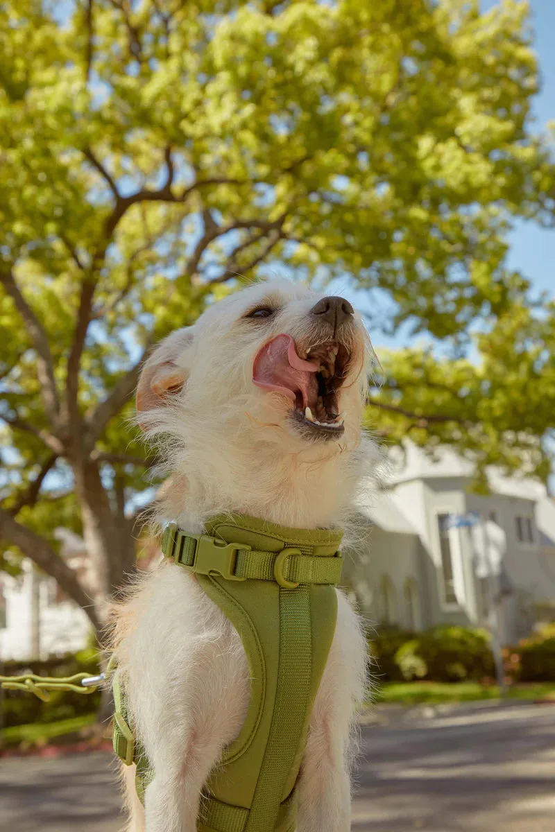 Comfort Pet Harness