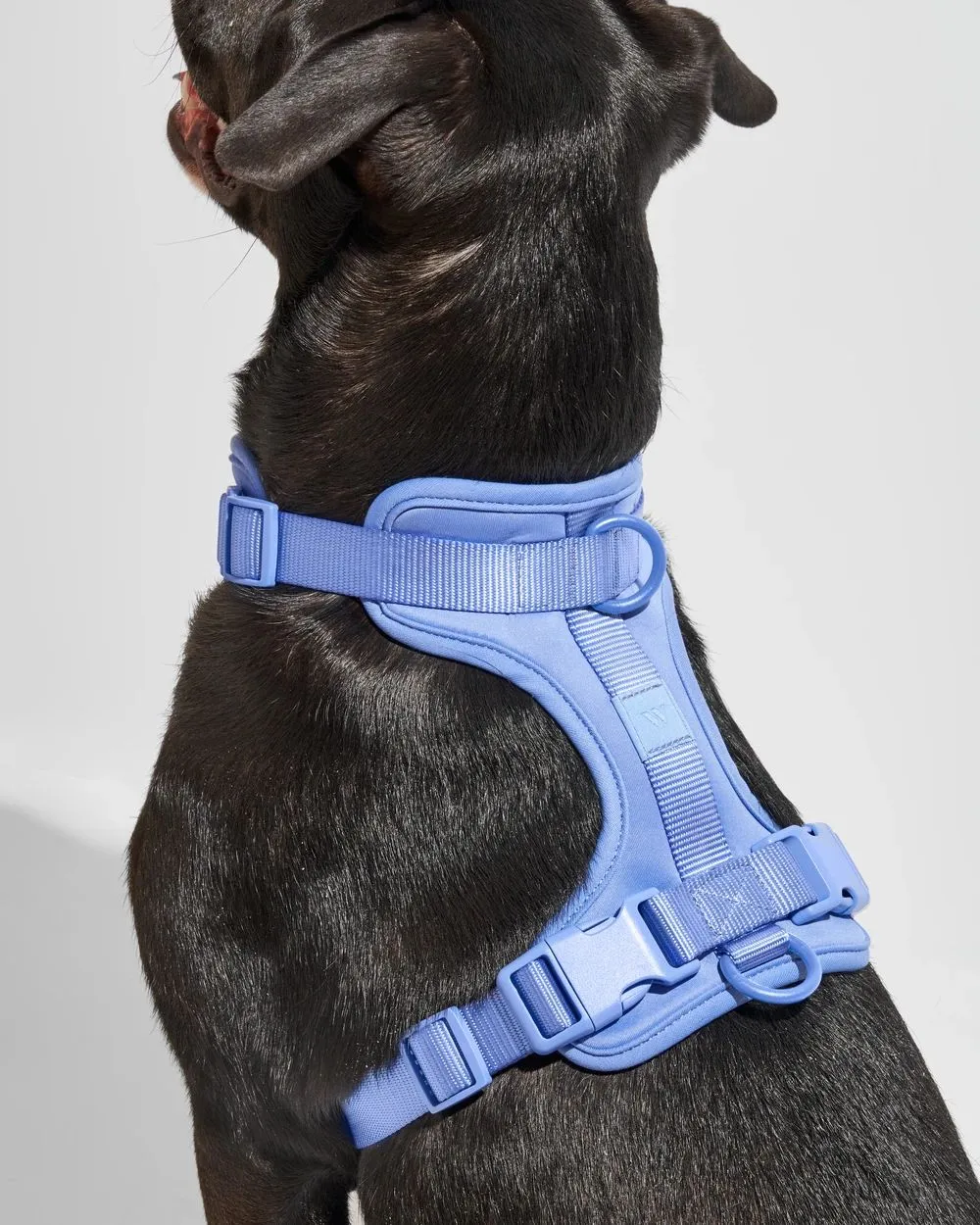 Comfort Pet Harness