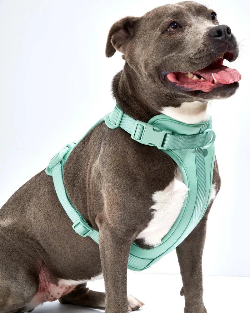 Comfort Pet Harness