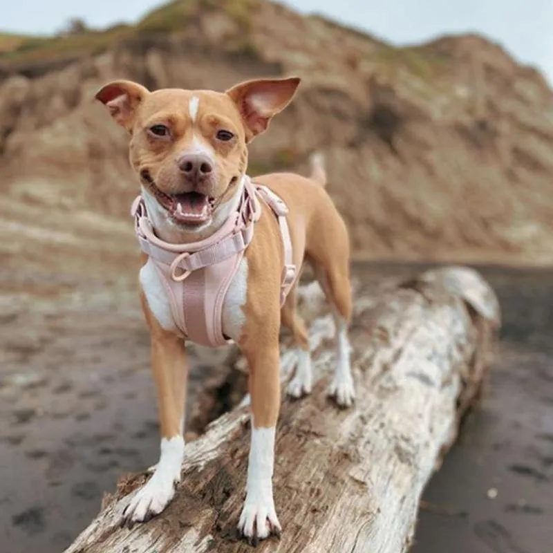 Comfort Pet Harness